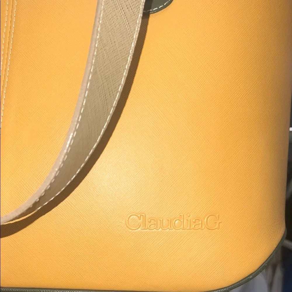 Chic Tan and Brown Tote Bag